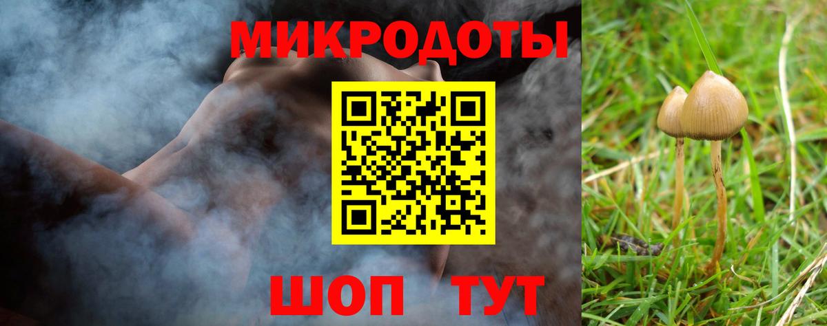 Галлюциногенные грибы MAGIC MUSHROOMS  Вход с VPN  Ишимбай 